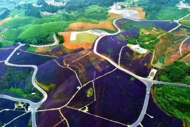 「初食·贵州」藏匿千年的未知国度，一朝问世的魔幻遵义