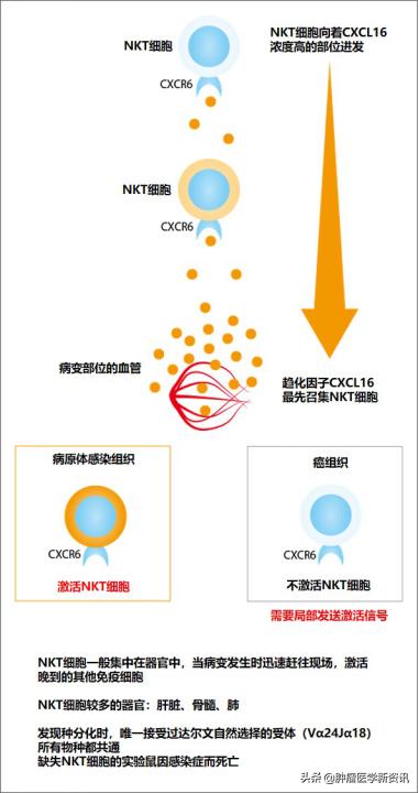 癌症早期早发现早治疗,癌症早发现早诊断早治疗