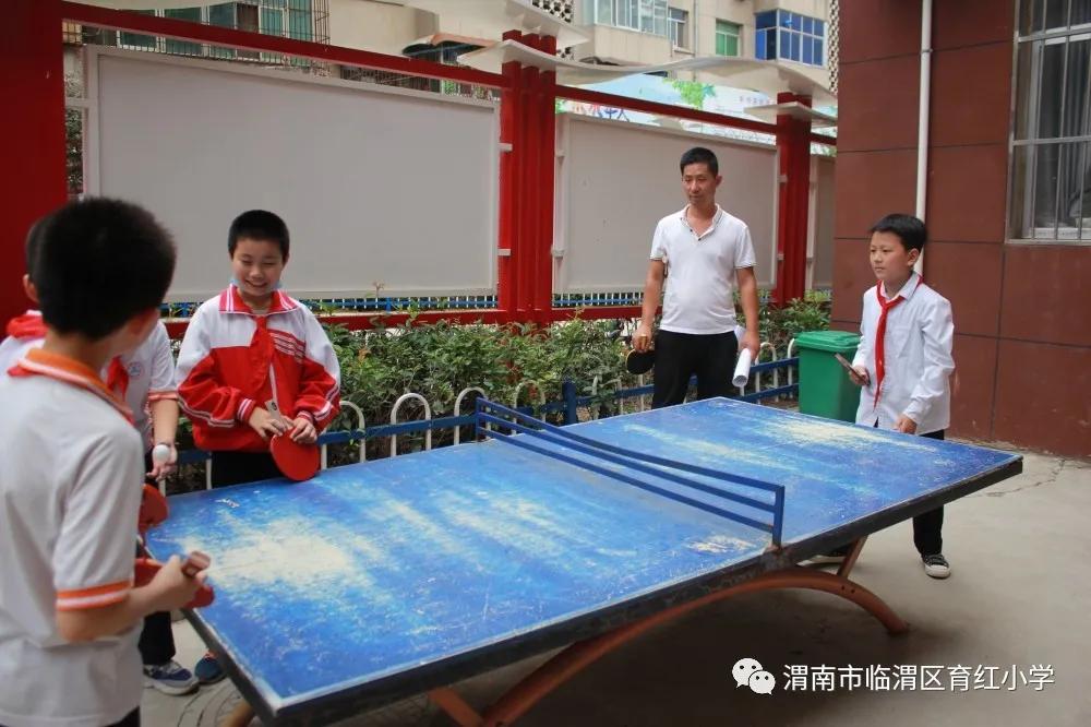 「育红小学•教学」课程添活力服务无止境——育红小学课后延时服务工作月报