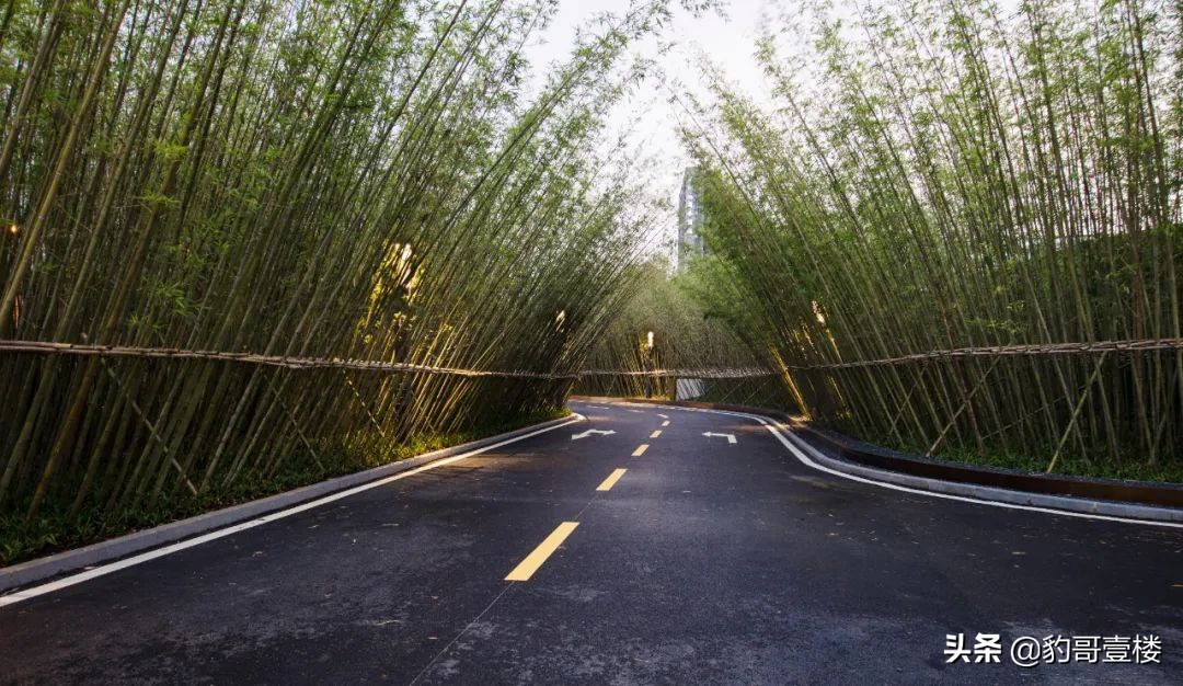 南湖丁字桥南路什么时候修路,丁字桥南路通车最新消息