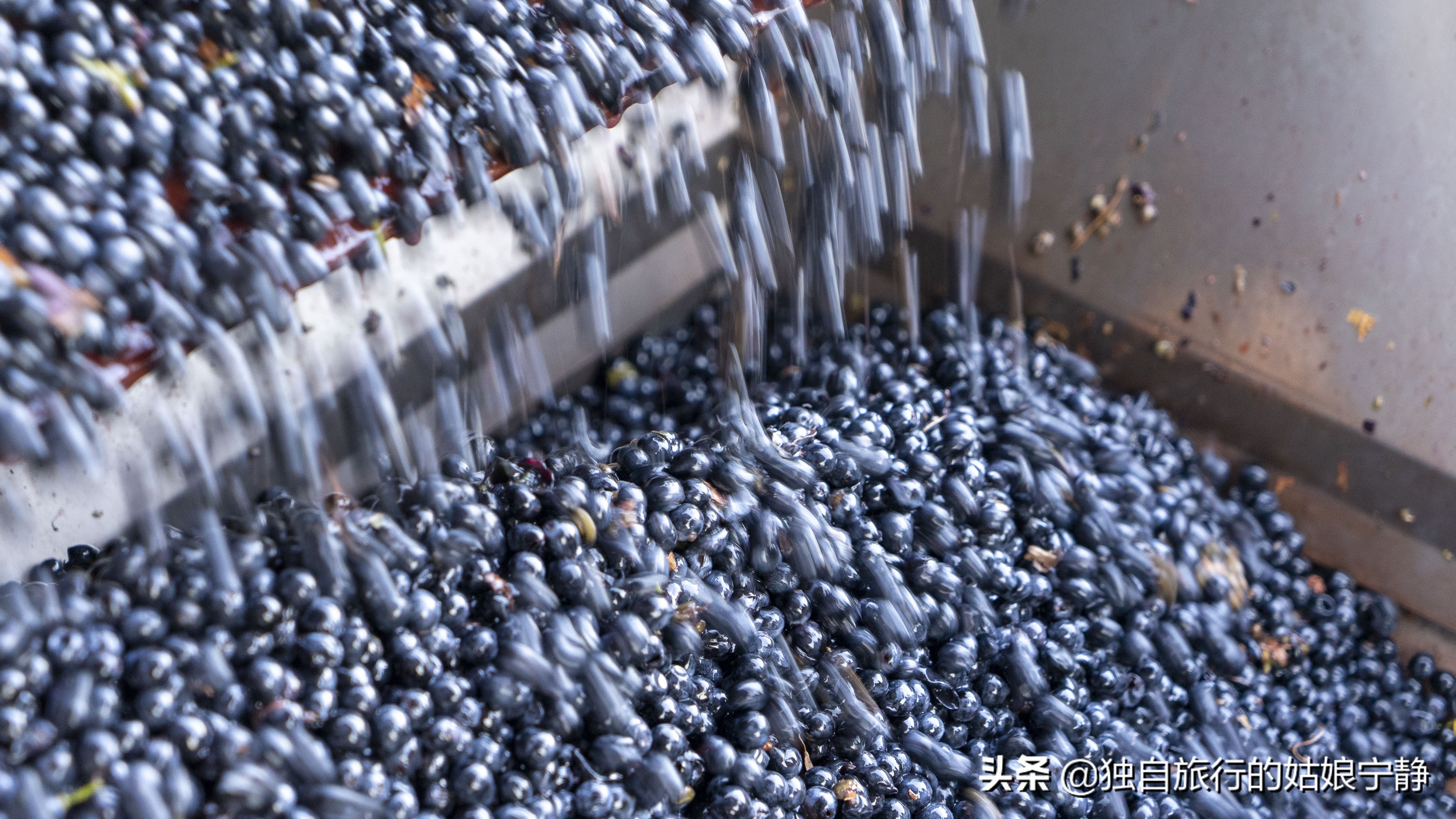 宁夏酒庄参观推荐,宁夏葡萄酒排行榜前十名酒庄