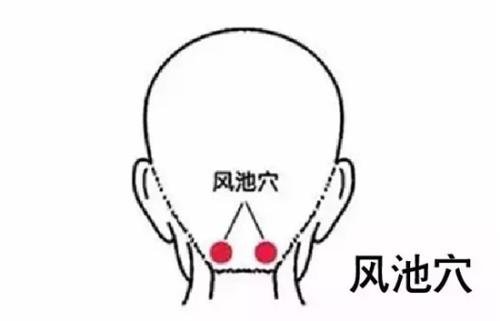 阳气调理方法,阳气足百病消除法