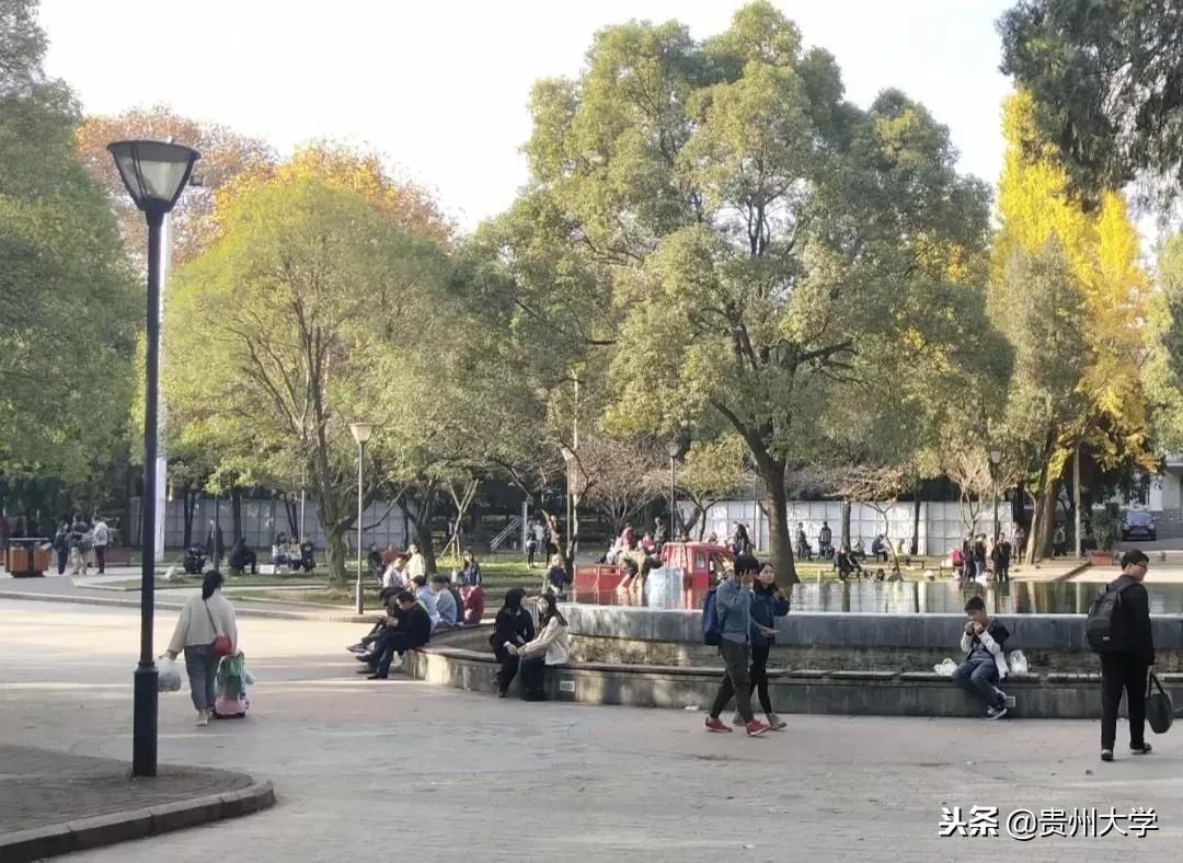 各科的奇葩作业,千奇百怪的作业