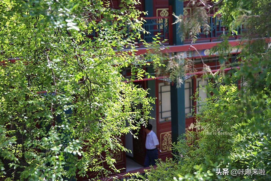 保定古莲花池是皇家园林,保定古莲花池始建于哪个朝