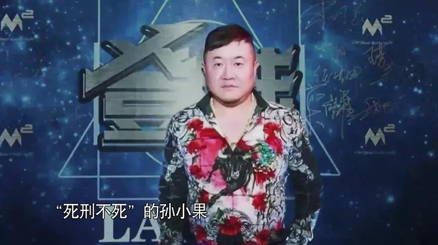 公安局长是黑老大电视剧,公安局长是黑老大的电视剧