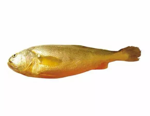 海鲜大全,最全海鲜冷知识