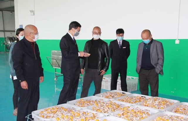 金融支持复工复产行业规范,金融发力支持复工复产