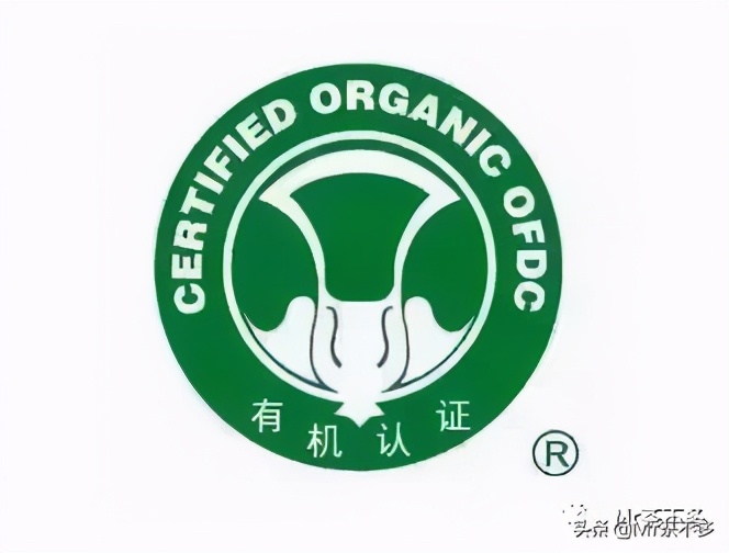 「大益茶史03」后邹炳良时代，晚节不保卢厂长知性茶后阮殿蓉