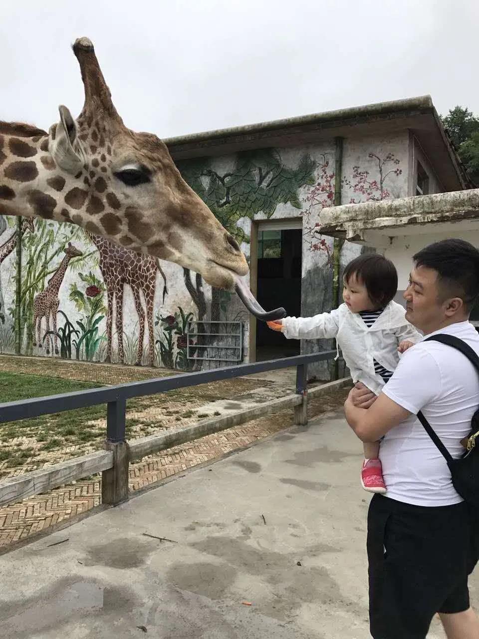 如何成为员额检察官,检察官助理如何成为员额制检察官