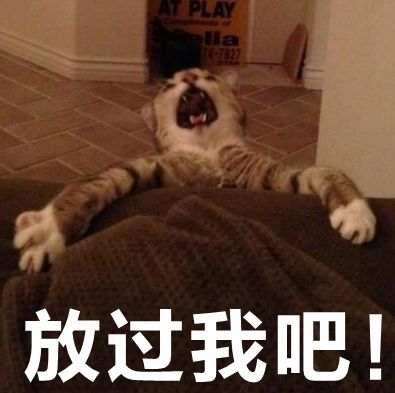 哪些不看歌词听起就很奇葩的歌,那些很奇葩的歌