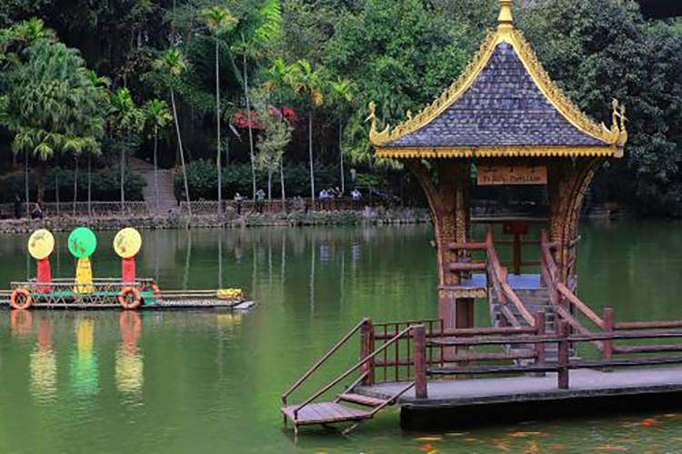 西南西双版纳,西双版纳原始森林氧吧