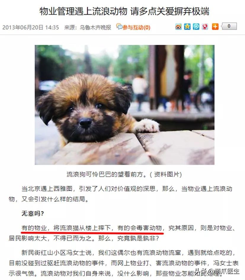 物业给小区流浪猫绝育视频,业主凑20万给流浪猫绝育