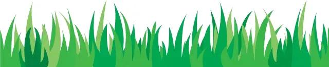 002中国队vs乌兹别克,02国足vs巴西完整国语