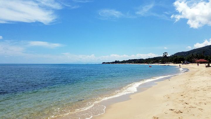 小伙冲浪意外溺水两分钟,67岁老人救4个冲浪溺水年轻人