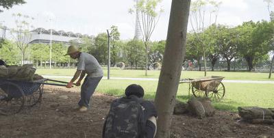 游客照不会拍一定要学会这几个,教你不出门拍各地旅游照片
