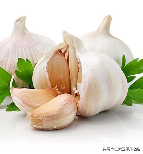 蔬菜虫害防治及配药剂,蔬菜不打农药怎样除虫害