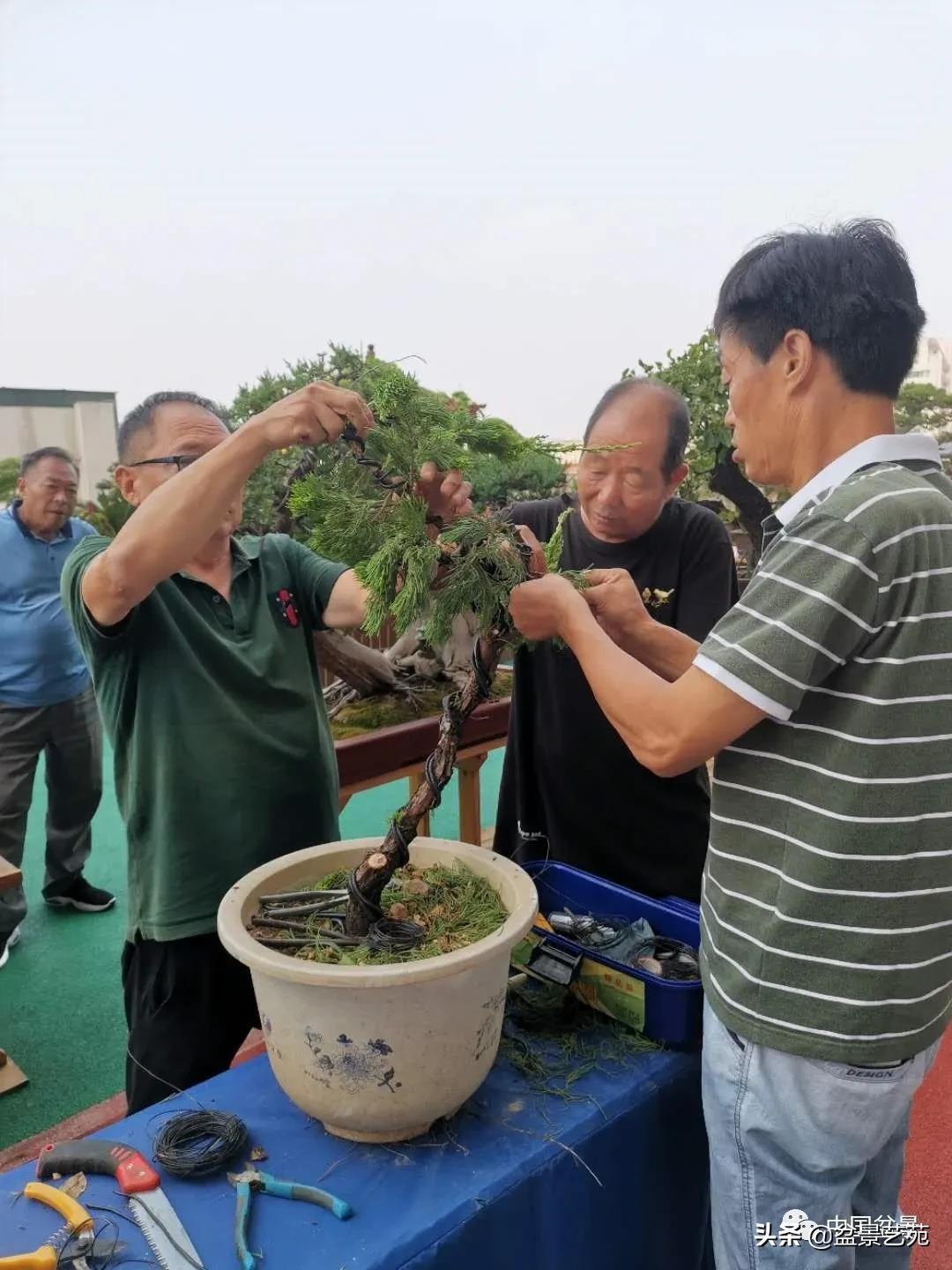 涓浗钁楀悕鐩嗘櫙澶у笀绮惧搧鐩嗘櫙,鐩嗘櫙鑹烘湳瀹跺拰鐩嗘櫙鑹烘湳澶у笀