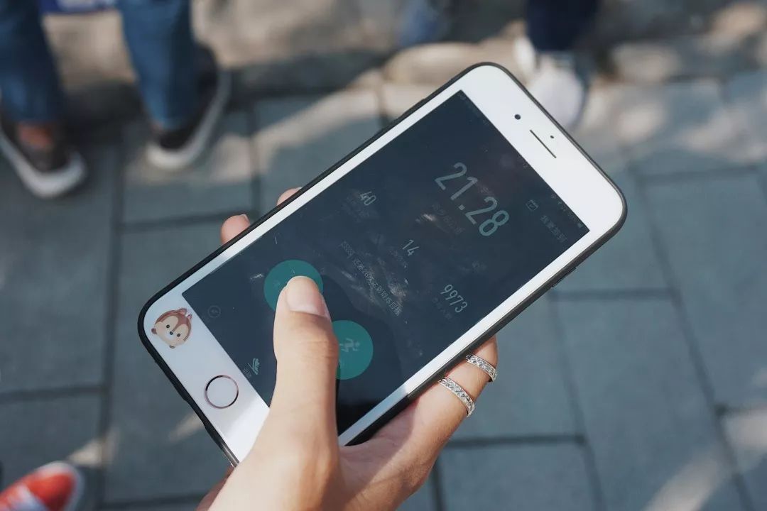 上海市晨跑团,沪上23所高校