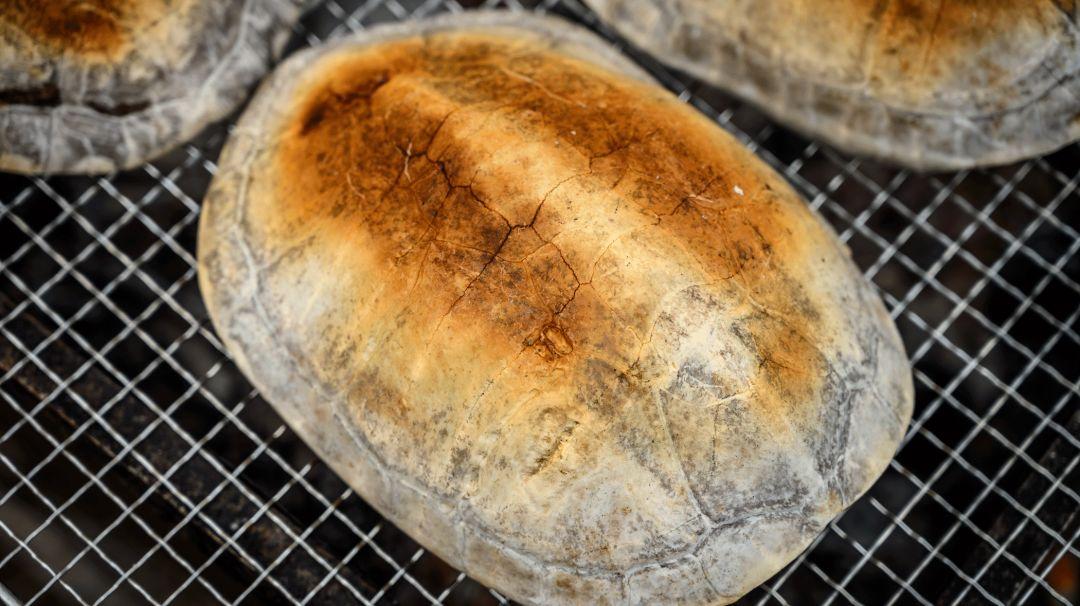 龟界百事通做的龟苓膏，煲前还要先玩火