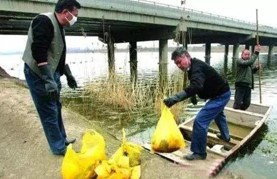 人工流产的胎儿怎么处置,人工流产的胎儿去哪了