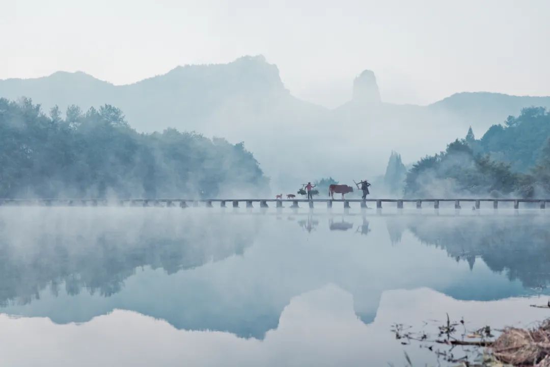 比乌镇安静比南浔古朴,藏不住了这里有最炫秋色