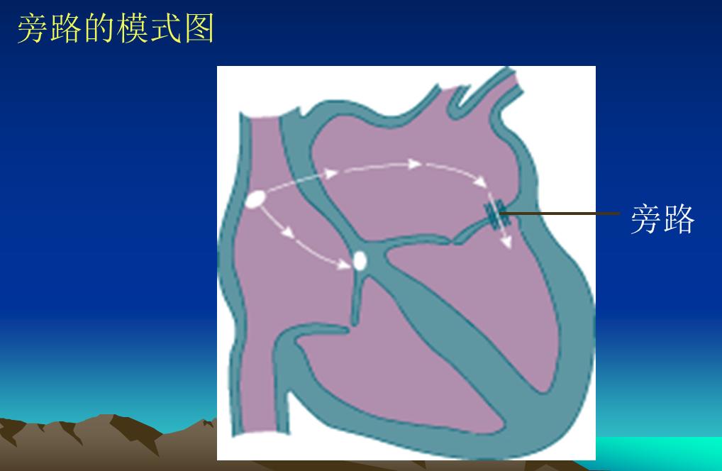 怀孕了心脏发慌是怎么回事,怀孕了心脏经常突然抖一下