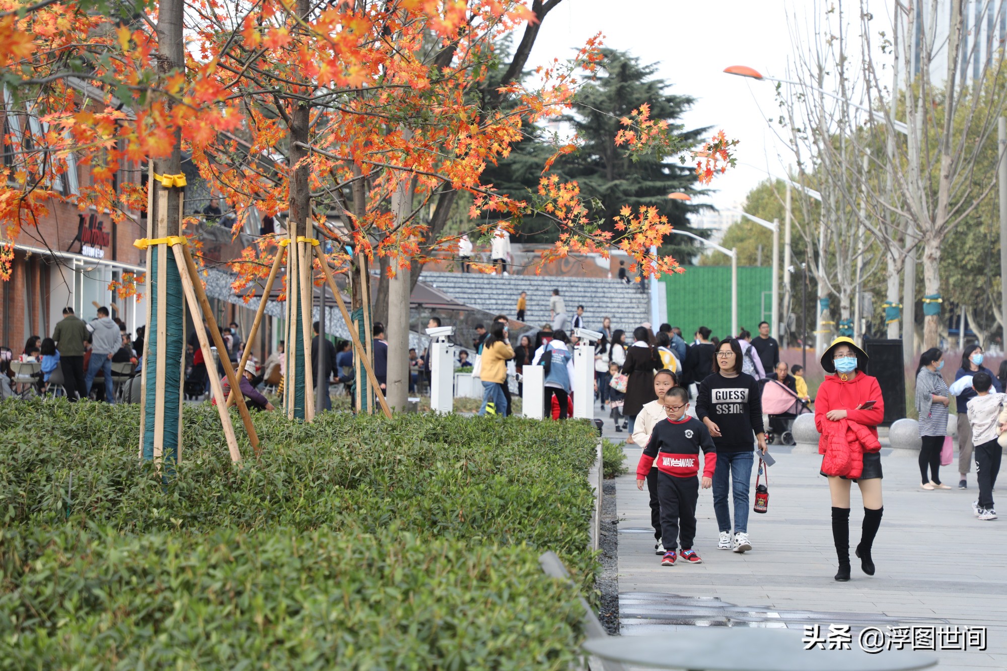 植物假树叶,人造树叶诞生