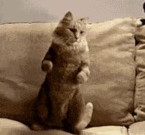 一个动作消除大粗腿,一个动作缓解抖腿