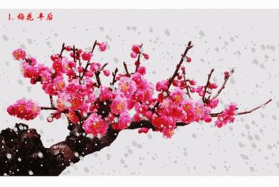 「女兵讲历史」大雪压青松青松挺且直欲知松高洁待到雪化时