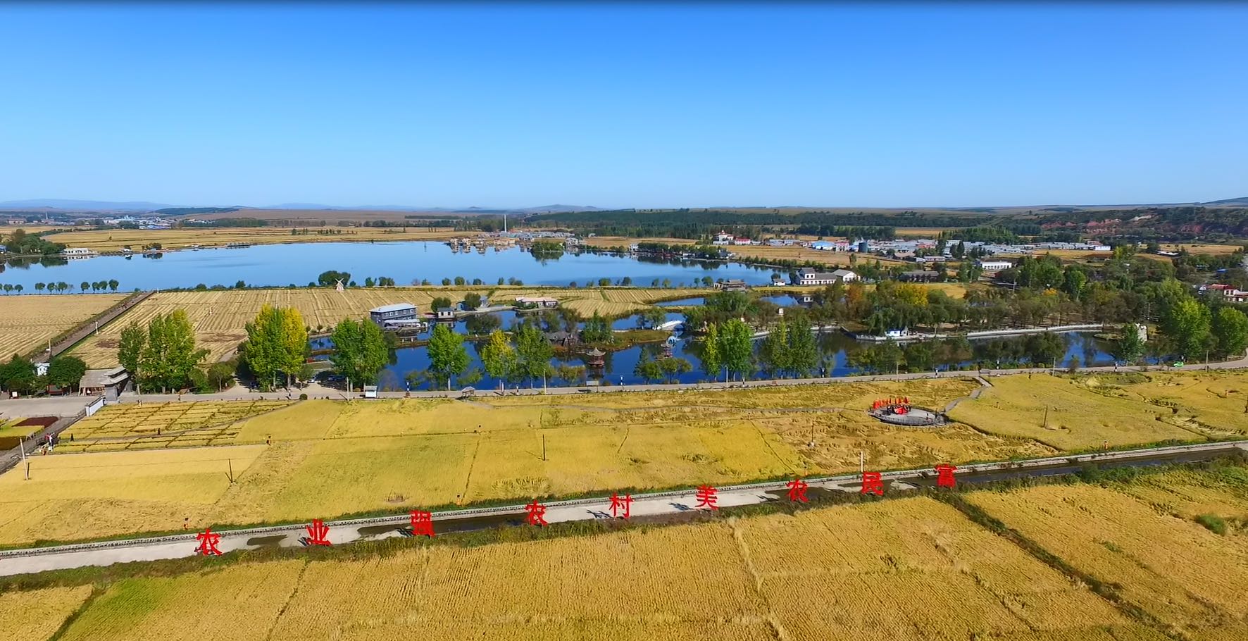 宁安市坚持“五位一体”强力推进农业生产高质量发展