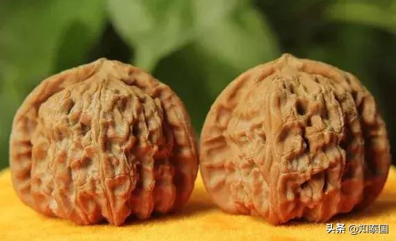 榴莲为啥价格相差那么多,为什么是天价榴莲