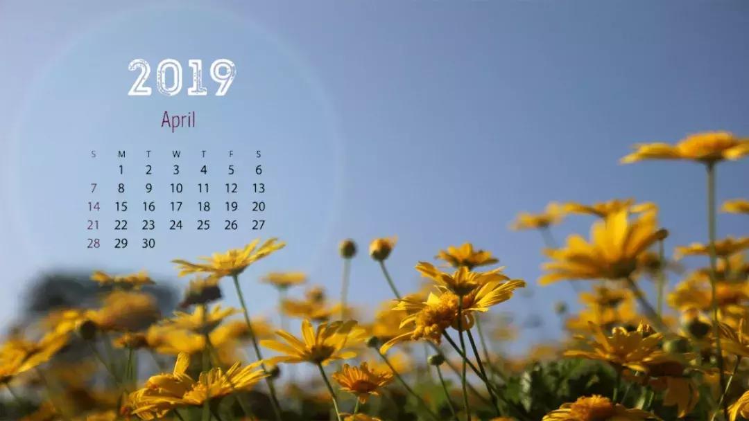 天一版新年月历，和小天一起迎接2019