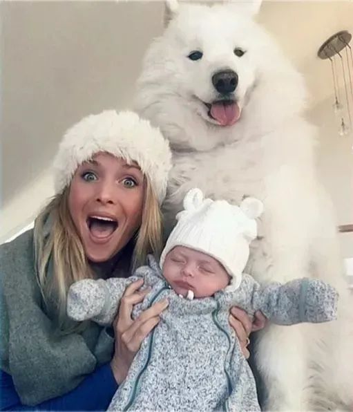 狗狗能感觉到孕妇怀孕了吗,狗狗能感受主人怀孕吗