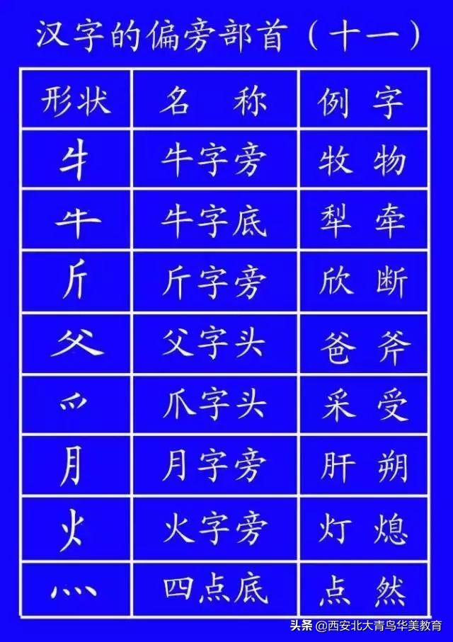 出台的笔顺正确写法,通知家长按照老师教的写笔顺