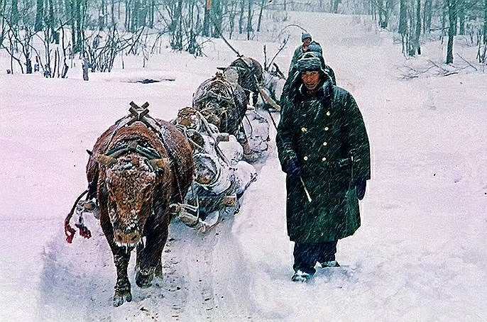 林海雪原女子,林海雪原上的女人