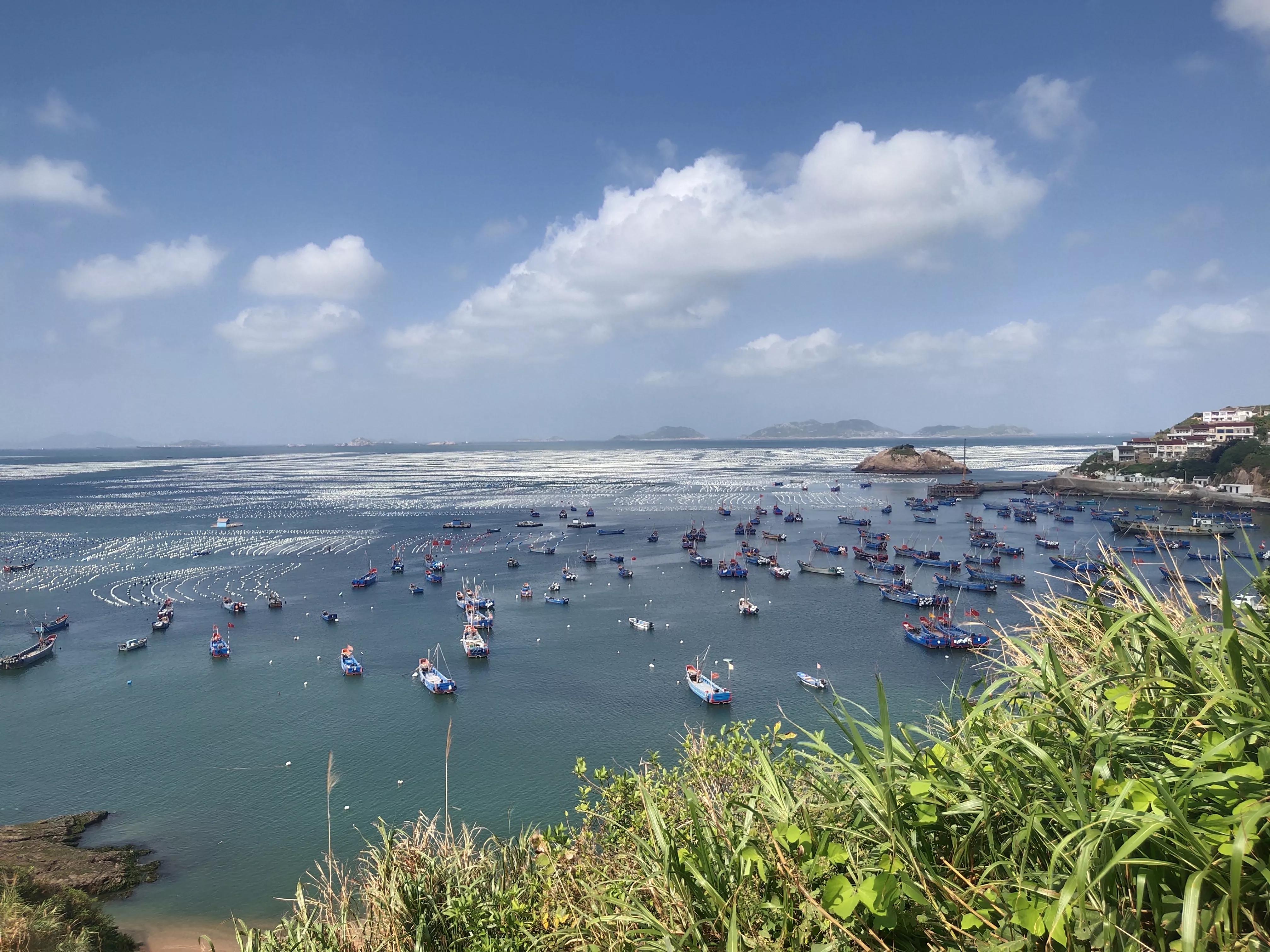 上海到枸杞岛自驾攻略 (上海到枸杞岛)