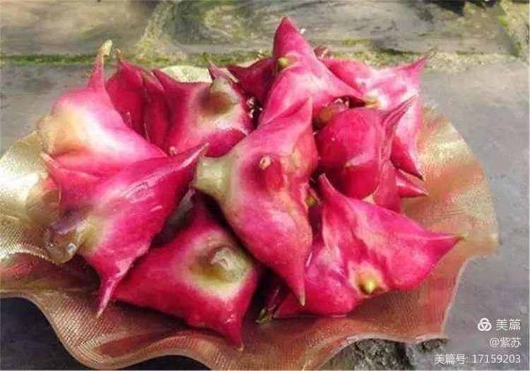 美好的记忆|嘉兴的糖果厂与糖纸