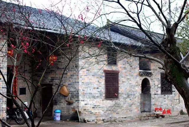 岳阳最值得去的古镇,湖南岳阳最繁华的景点