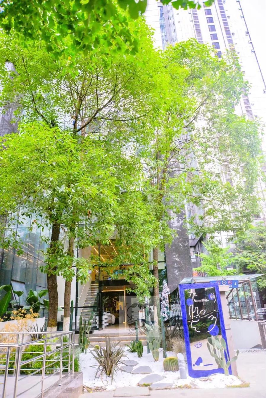 咖啡和甜品的日常,咖啡与甜品搭配的黄金法则是什么