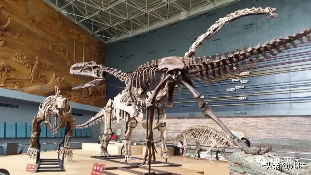 大美朝阳宣传片,大美朝阳一角的夜景