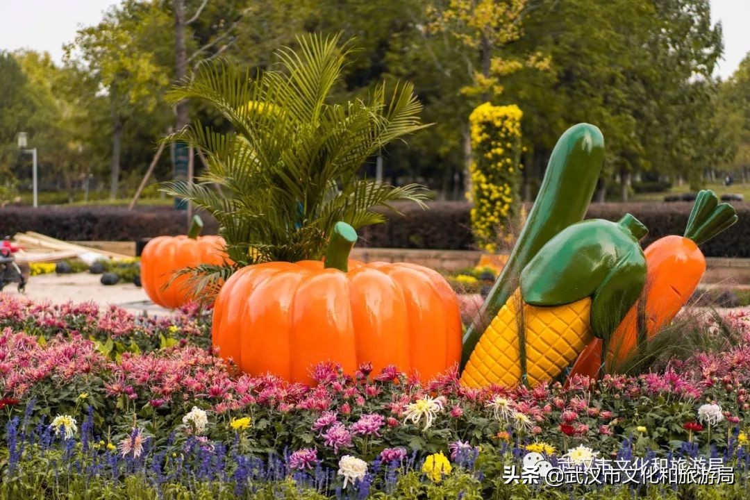 武汉菊花旅游攻略,花点时间武汉天地店