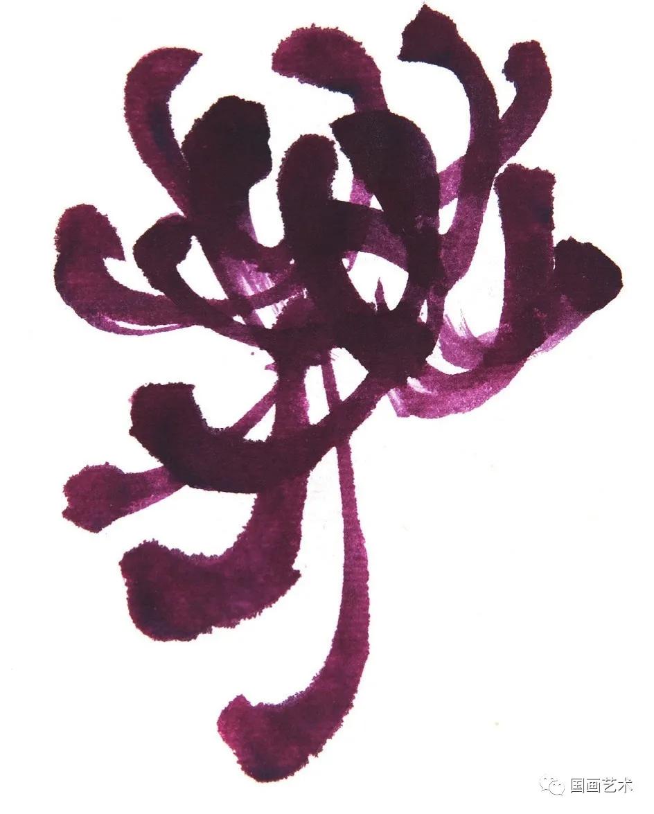 国画写意菊花龙爪菊,写意菊花画法教程简单