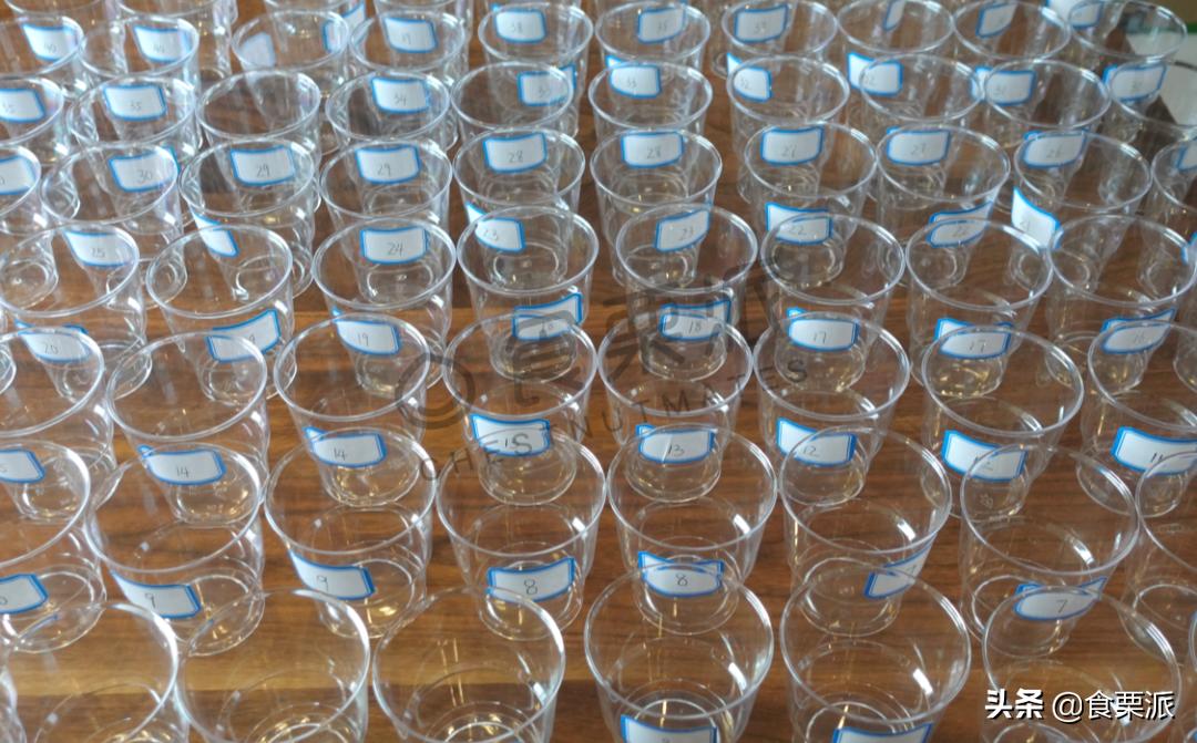 喝了12瓶牛奶,喝过最好喝的一款牛奶