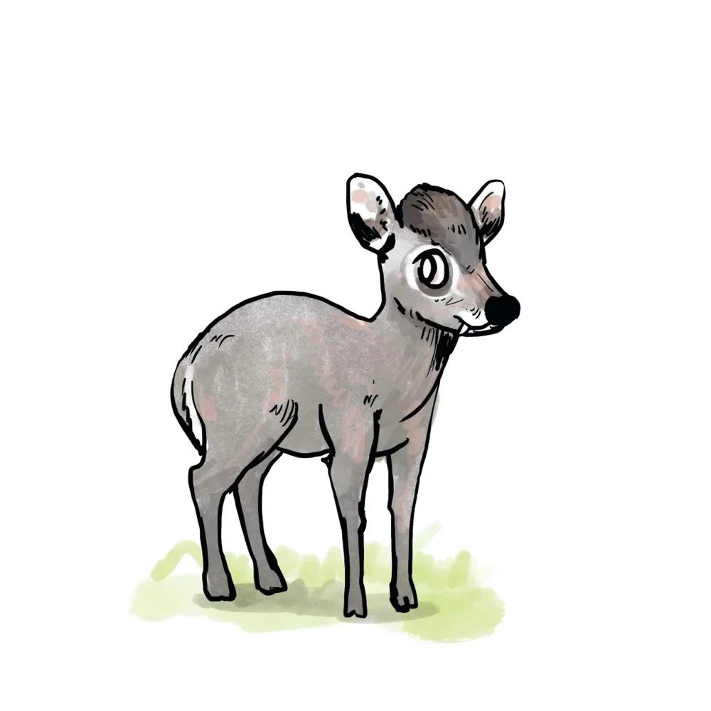 嘉年华快报：杭城万名神兽出动，破解七大自然悬案