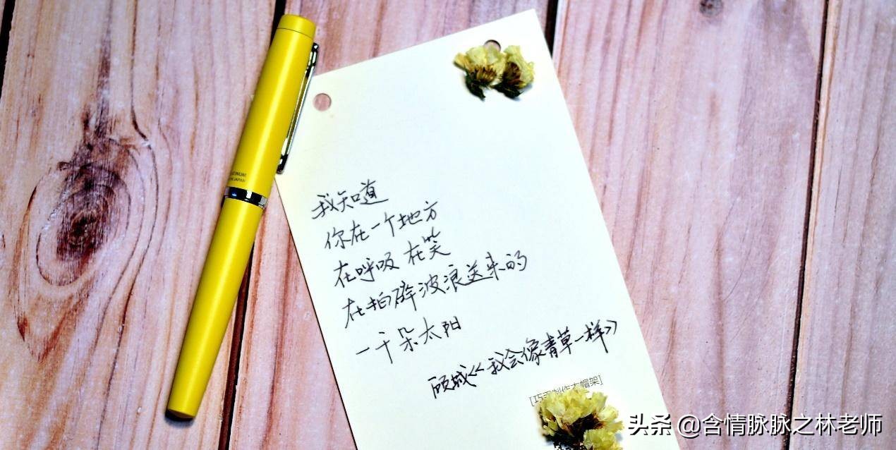 像钢笔一样的毛笔怎么选,顾建平老师教你如何挑选毛笔