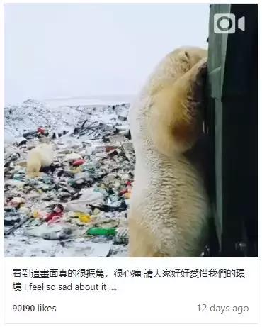 1116只鲨鱼被塑料缠住，不及余文乐发布一则视频引发的“痛感”