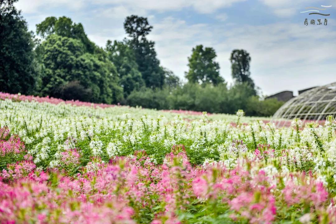 成都三圣乡恐龙主题公园,三圣乡恐龙主题公园地址