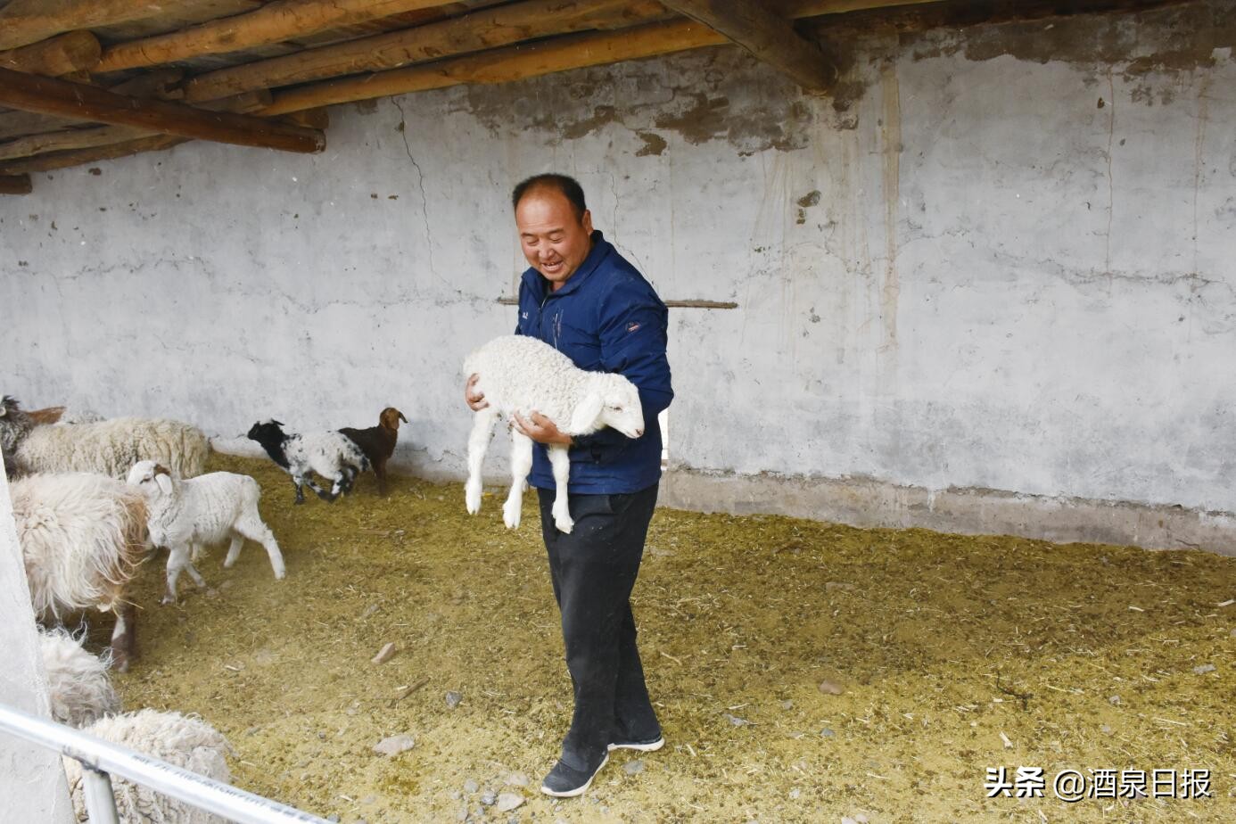 瓜州县：建好合作社托起致富梦