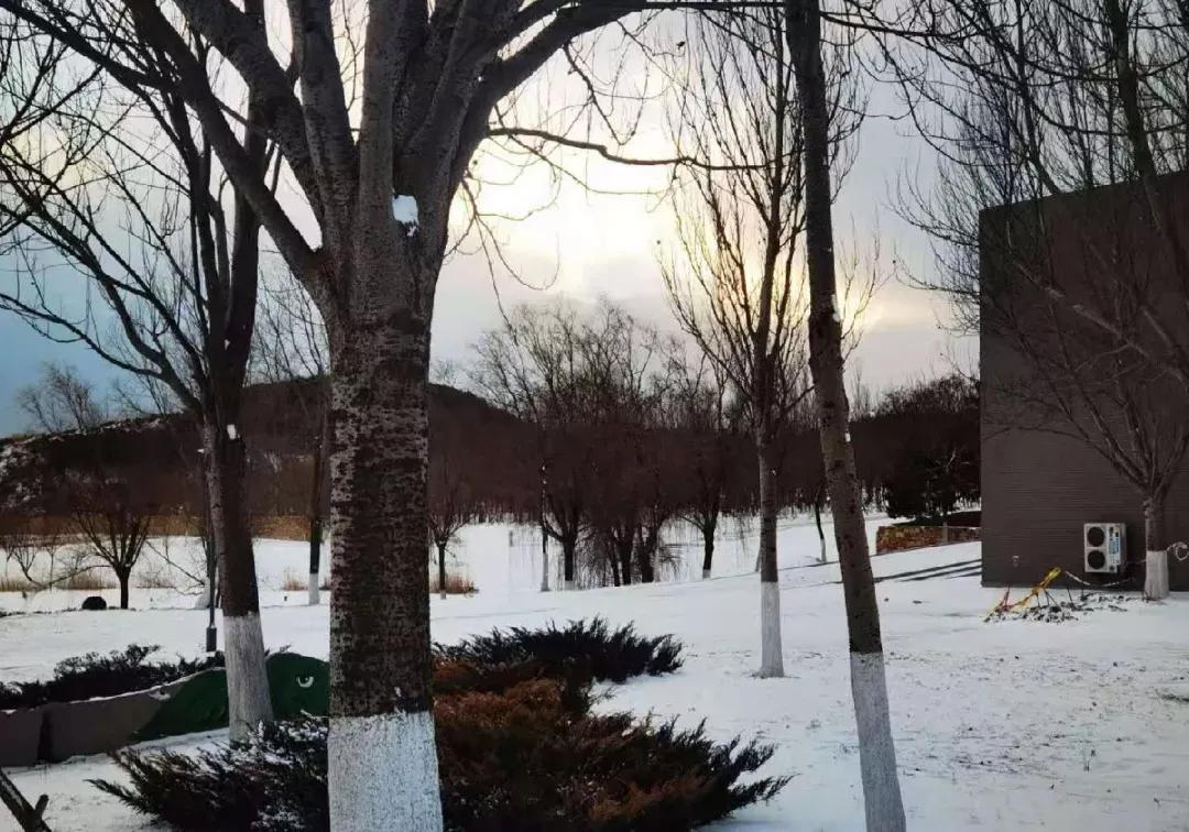 辽宁省高校（三十一）大连医科大学