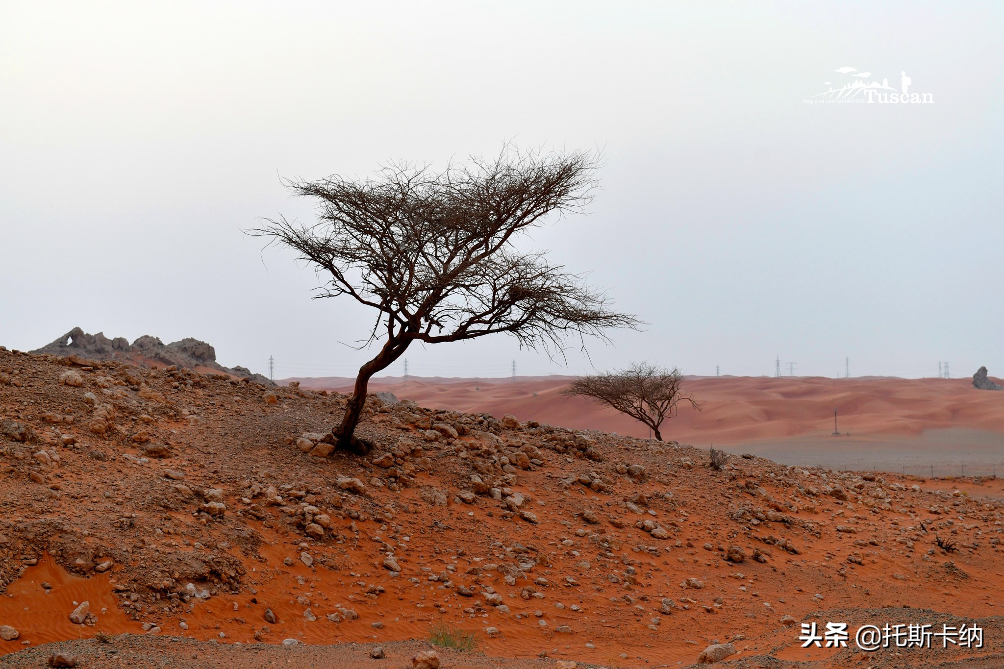 阿联酋沙迦有什么好玩,阿联酋沙迦景点介绍